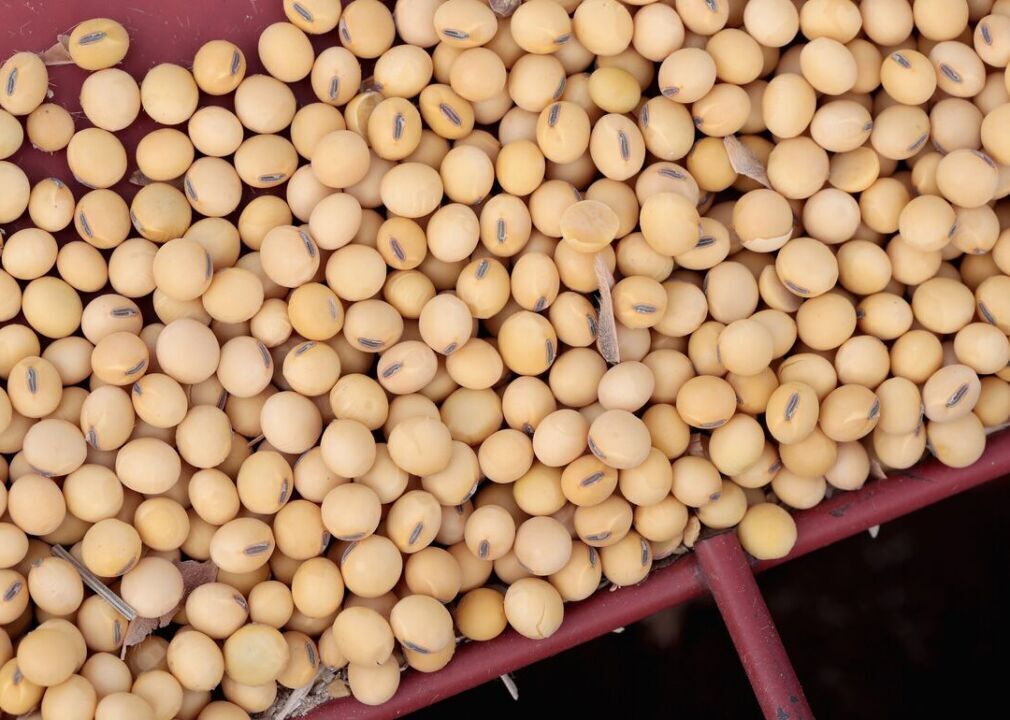 Agriculture represents 1% of our GDP
